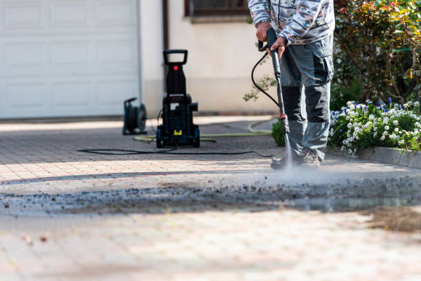 Best Roof Power Washing Services  in Argos, IN